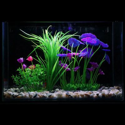 夜光石彩石头壁挂鱼缸热带鱼玻璃圆形竹子水草植物鱼缸鱼护地插金