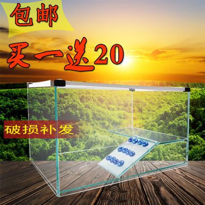 鱼缸假山甩网鱼苗活鱼体盆僧金鱼批发龟铺面石虾笼假山流水喷泉微