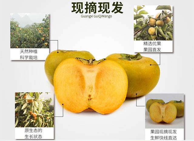 正宗广西恭城甜柿子甜脆柿10斤硬柿子5-10斤多规格100-250g脆柿子