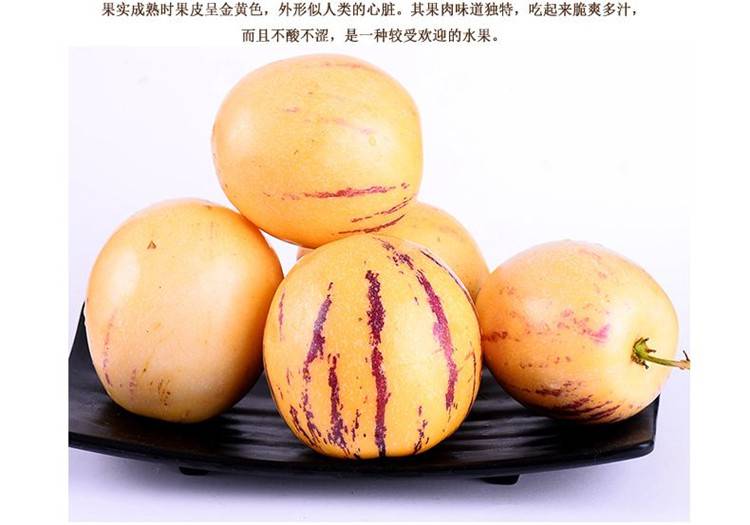 云南石林果圆果 新鲜包邮人生果2到8斤 黄肉当季时令孕妇水果
