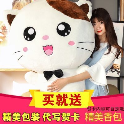 猫咪毛绒玩具洋布娃娃玩偶大号抱枕公仔布偶娃娃创意生日礼物包邮