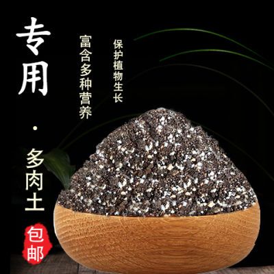 多肉土专用营养?#37327;?#31890;土铺面石叶片扦插多肉种植土包?#39318;?#29992;型