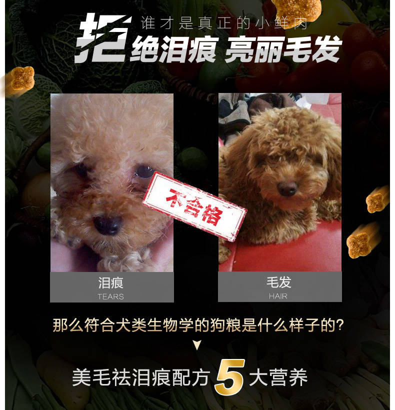 【5斤22.9】狗粮5斤通用型泰迪贵宾金毛比熊拉布拉多幼犬成犬大小型