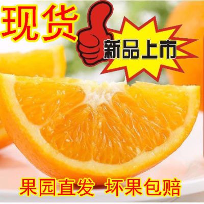 赣南脐橙 一级果新鲜水果孕妇手剥橙江西赣州特产甜橙子多汁5斤