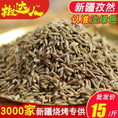 新疆特产?#23380;?#28982;粒烤肉烧烤调料撒料腌料香料包批粉发大全500g包邮