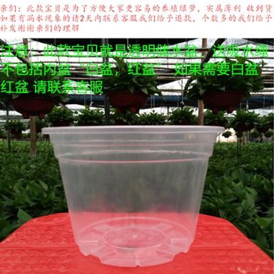 种菜盆塑料橘子树盆栽桃蛋多肉盆景花卉木糠杯绿植花架子花盆特大