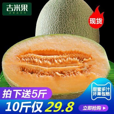 新疆哈密瓜10斤批发新鲜当季网纹瓜时令水果吐鲁番西州蜜瓜甜香瓜