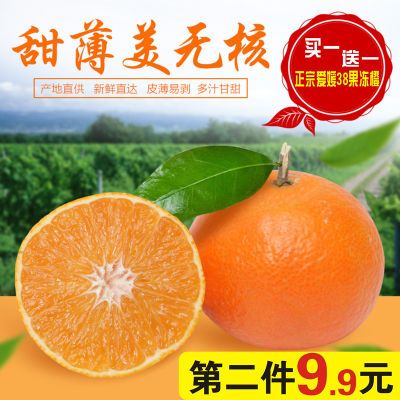 5斤现摘眉山?#21568;?#29233;媛38号果冻橙新鲜水果橘子手剥橙子脐橙桔子
