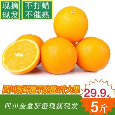现摘四川金堂脐橙新鲜水果5/9斤酸甜橙孕妇水果冰糖橙非爱媛38号