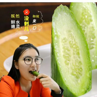 新鮮蔬菜無刺水果荷蘭小黃瓜青瓜日本青瓜沙拉菜帶皮生吃5斤