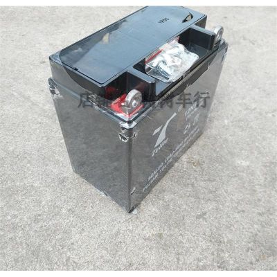 三輪摩托車電動車電瓶電池電瓶夾子池瓶電瓶四輪車車燃油踏板瓶車