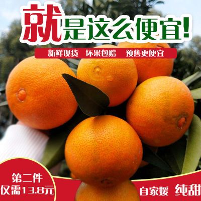 四川爱媛38号果冻橙柑橘手剥橙新鲜水果非不知火耙耙柑橘子包邮