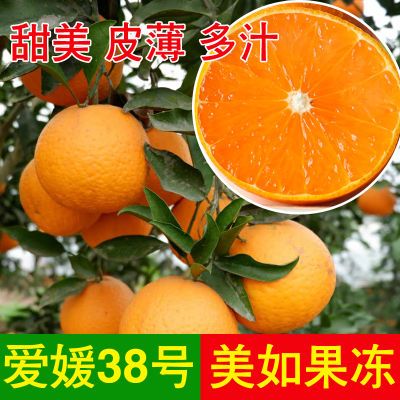 果园直发精品爱媛38号果冻橙 手剥橙子8斤/5斤 75-90mm非赣南脐橙