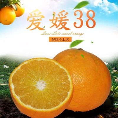 2.5/5斤大果四川?#32440;?#29233;媛38号果冻橙手剥橙红美人柑橘新鲜桔子