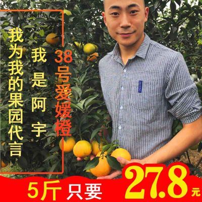 ?#23621;?#21733;果园?#20811;?#24029;眉山爱媛38号橙新鲜橙子大果特惠包邮果冻橙5斤