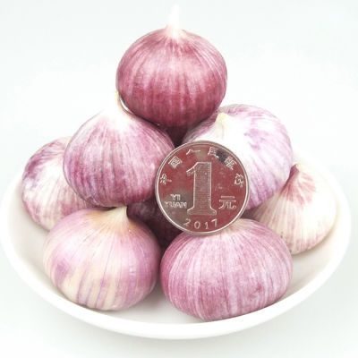 【拍2送1拍3送2拍4送4】2018云南紫皮独头蒜紫皮大蒜干大蒜头1斤