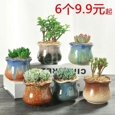 客厅花盆特大挂墙青菜种子肉肉植物号苗上水石种桃蛋高花瓷风信子