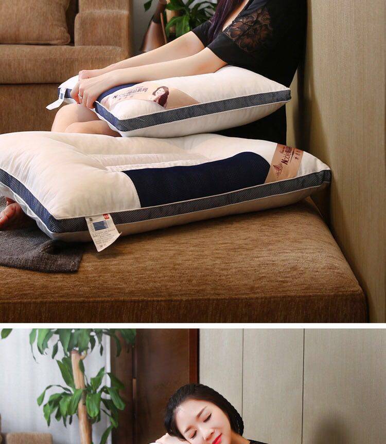专柜正品枕芯一对送枕套 全棉决明子护颈椎保健枕头芯