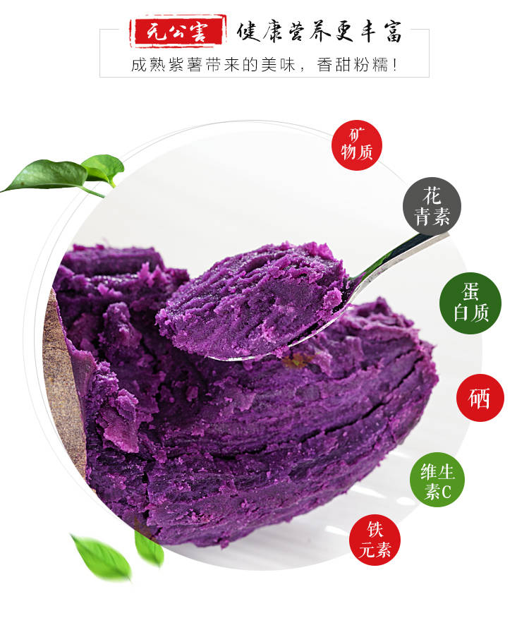 山东沂蒙净重10/5/2斤沙地番薯紫薯红薯地瓜新鲜蔬菜现挖粉糯香甜