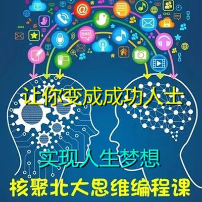 成功学富豪培训提上商业思维学习致富核聚北大思维编程课思维模型