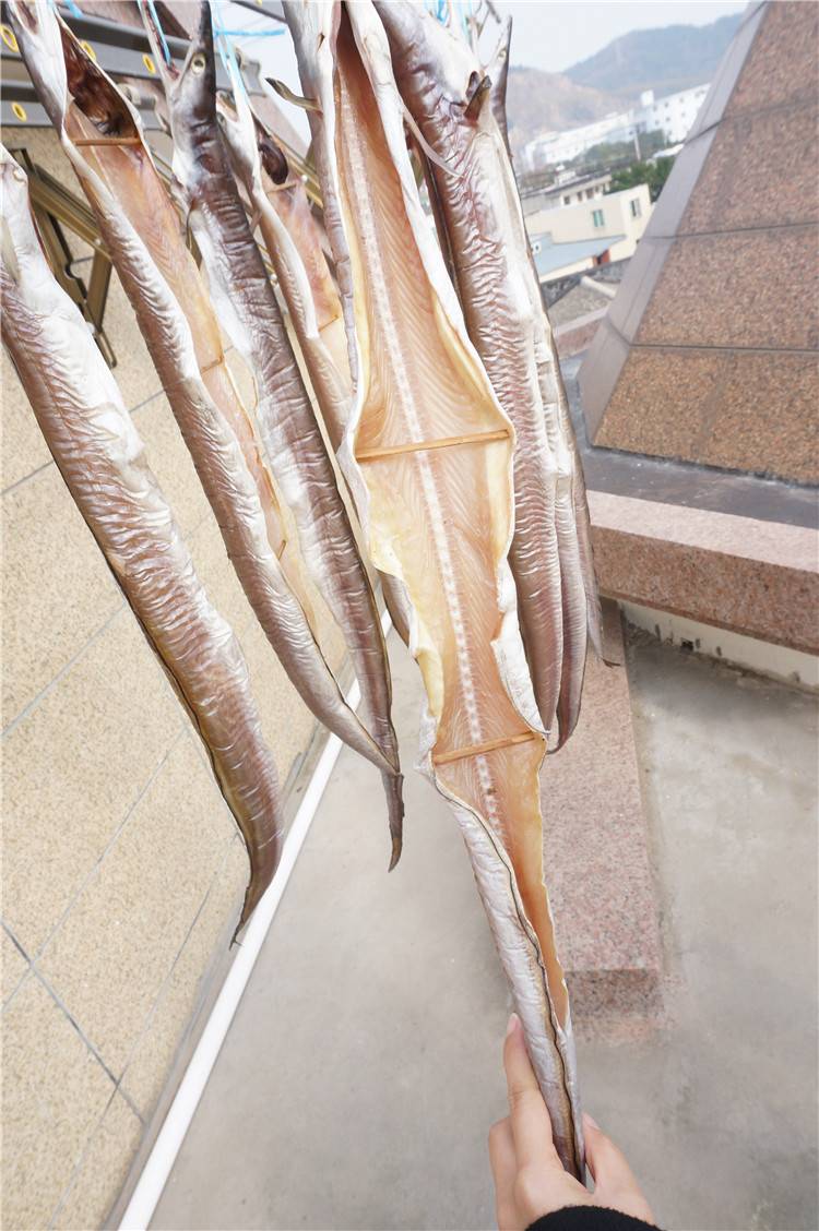 【1条500g 29.9】舟山本地风鳗鳗筒渔民自晒鳗鱼干咸鱼干5成干
