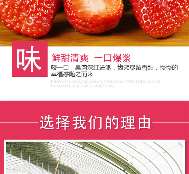 【顺丰空运当天发货】新鲜草莓现摘四川草莓水果奶油草莓冬草莓商用烘焙