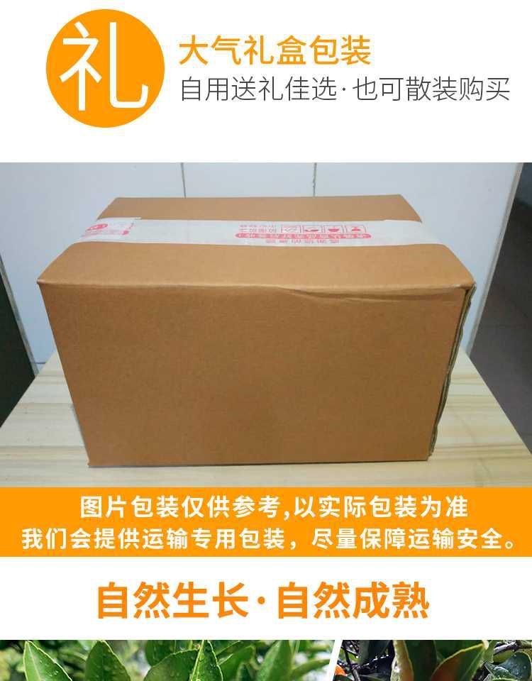 【买三斤送二斤实发5斤】江西南丰蜜桔新鲜高山甜蜜橘绿皮柑橘子新鲜水果桔子水果薄皮