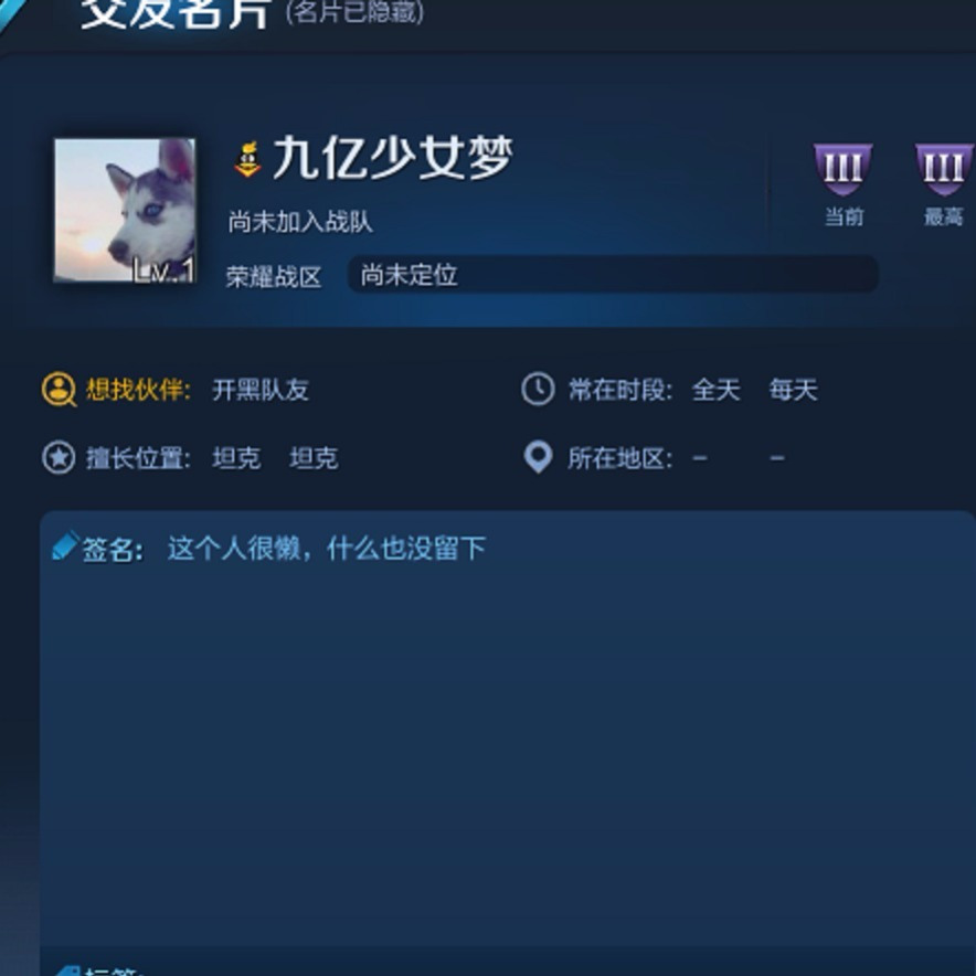 王者荣耀改名战区修改游戏定位称号省级金牌银牌梦之泪伤空白名