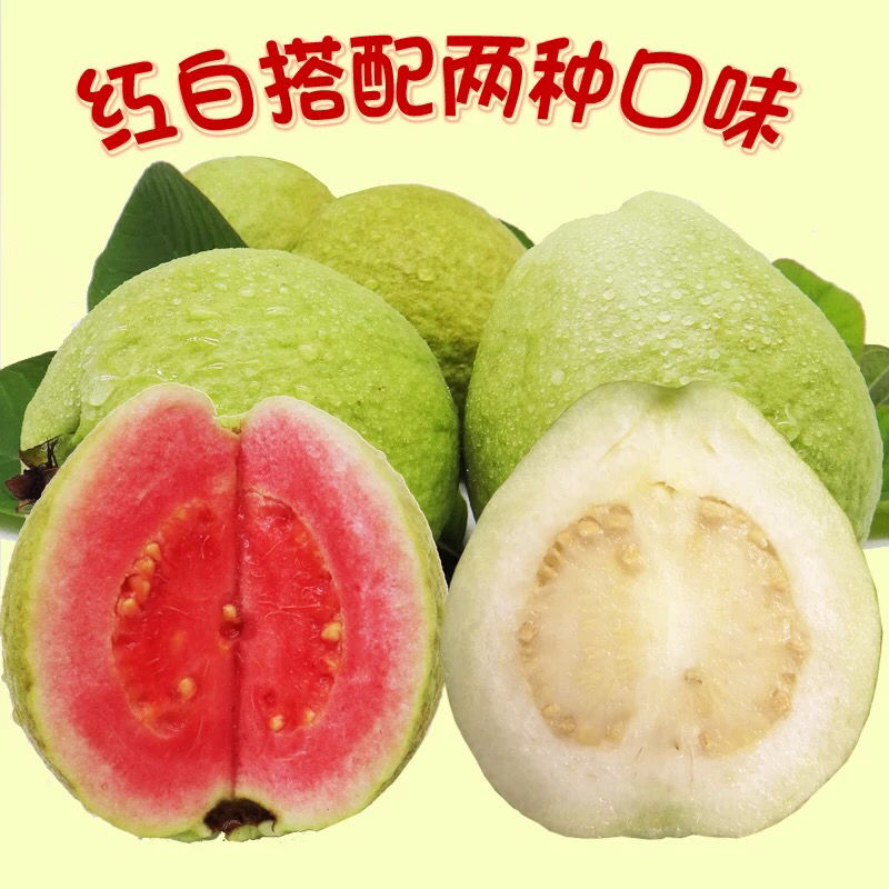 广西番石榴红心/白心芭乐新鲜水果单重100g-400g