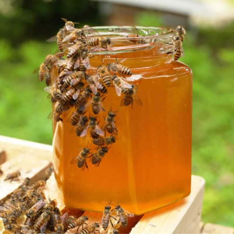 蜂蜜野生百花蜜土蜂蜜500g/瓶装农家自产野生蜜天然纯
