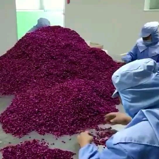 平阴食用玫瑰花瓣重瓣玫瑰干花瓣可泡茶烘焙做阿胶糕牛扎糖玫瑰醋