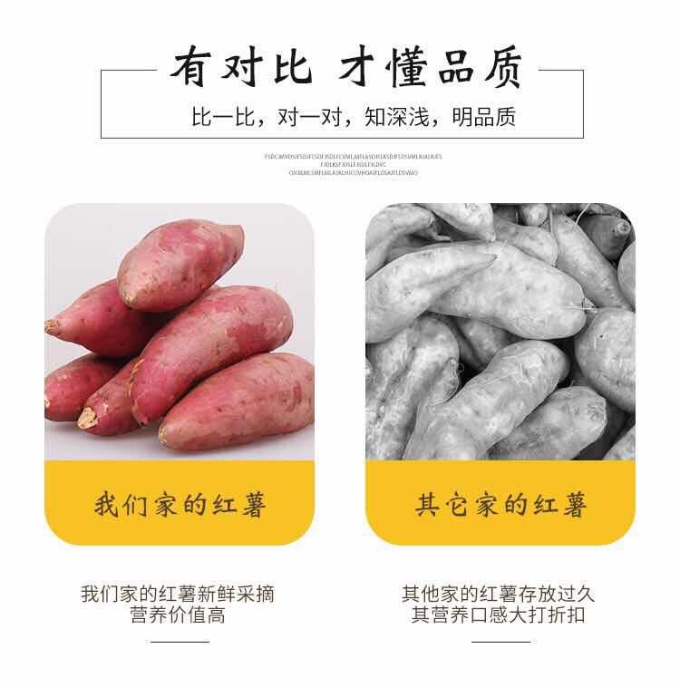 【现挖现发】红薯新鲜鸡蛋黄板栗红薯小香薯番薯地瓜批发2/5/10斤