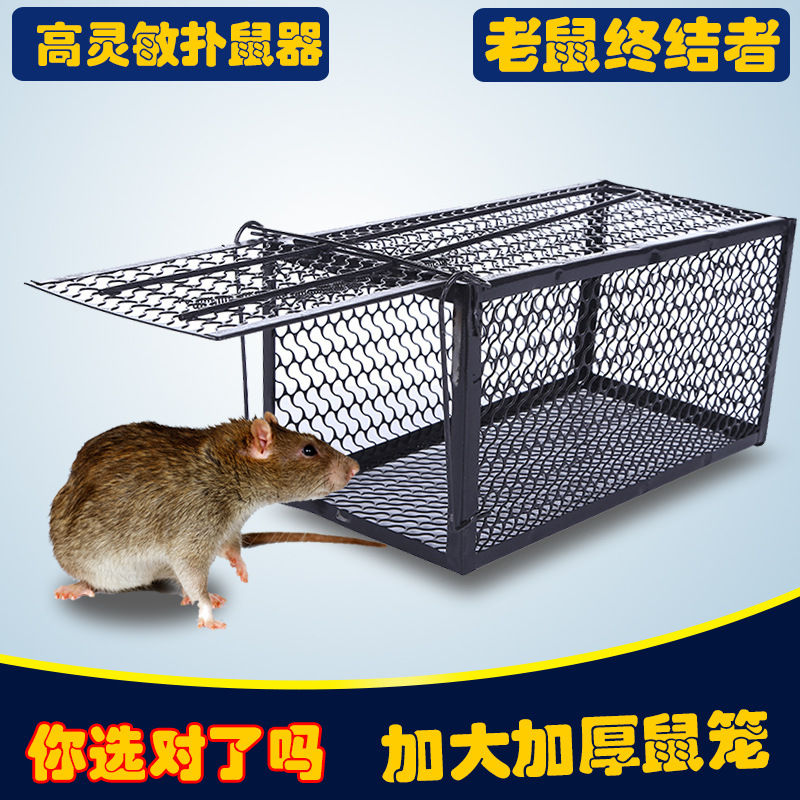 抢100份捕鼠笼子老鼠笼灭鼠器抓老鼠耗子盒杀鼠器笼家用捉鼠神器