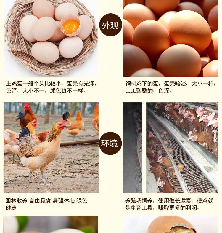 【特惠促销】活珠子鸡胚蛋13天批发半喜蛋钢化蛋非毛鸡蛋熟4枚