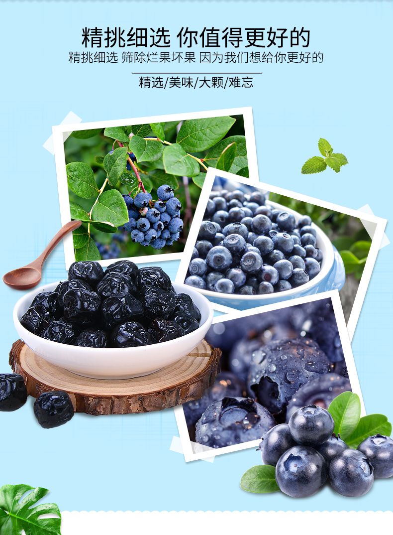 【不满意包退】蓝莓李果新疆特产伊犁火车同款蓝莓干果脯208g