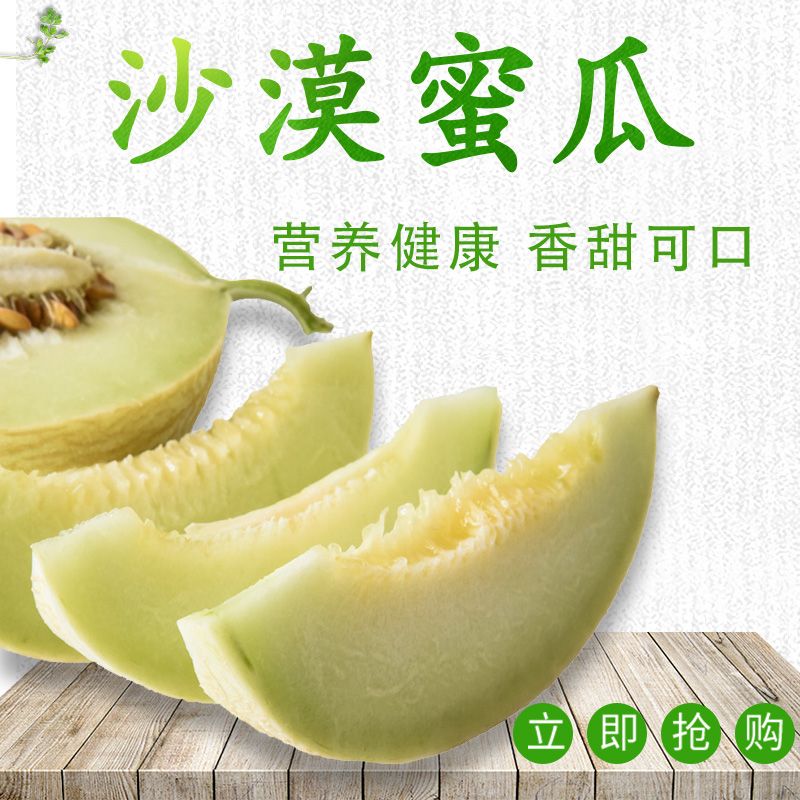 原产地香瓜现摘甘肃民勤银蒂哈蜜瓜白兰瓜沙漠甜瓜新鲜水果
