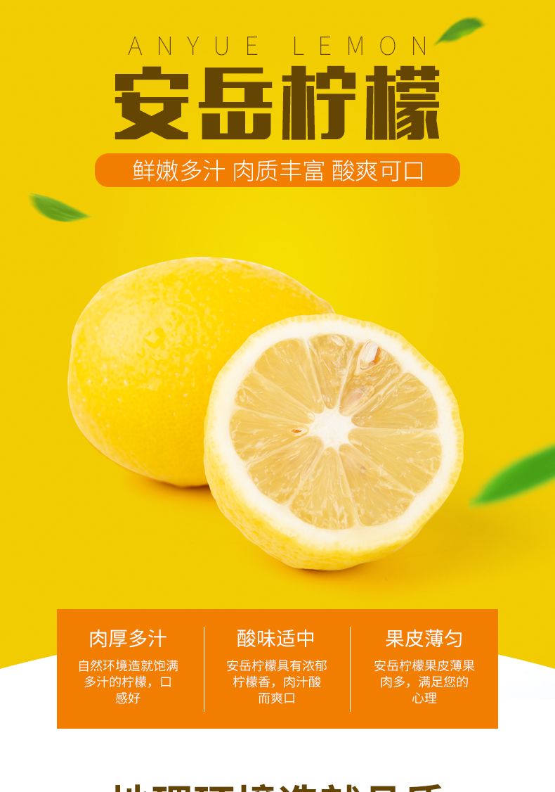 四川安岳黄柠檬2斤/5斤/10个装新鲜水果柠檬果园直发单果50-200g