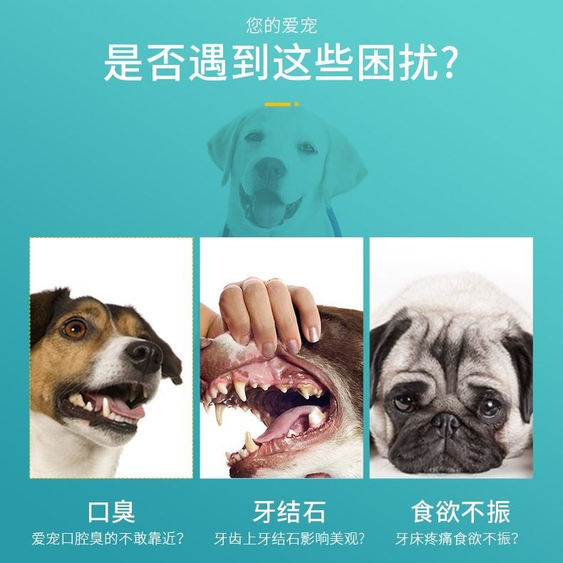宠物口腔喷剂猫狗去除口臭除牙垢牙结石乐苎 猫狗美容清洁用品