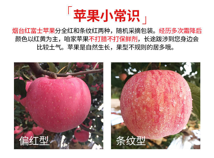 山西冰糖心红富士苹果新鲜水果不打蜡 脆甜带箱5斤
