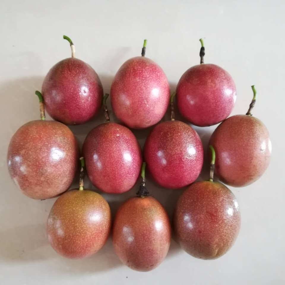 【送开果器】广西百香果新鲜水果2/3/5斤12/8个装大果单果40-100g