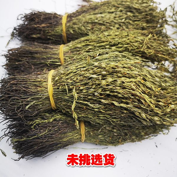 新货广西野生小叶独脚柑独脚金正宗疳积草干净短草煲汤