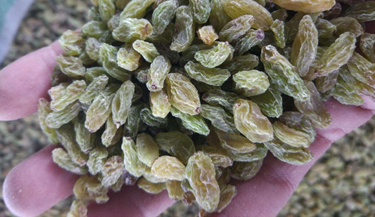 新疆吐鲁番葡萄干小包装萄葡批发零食蜜饯500g干果