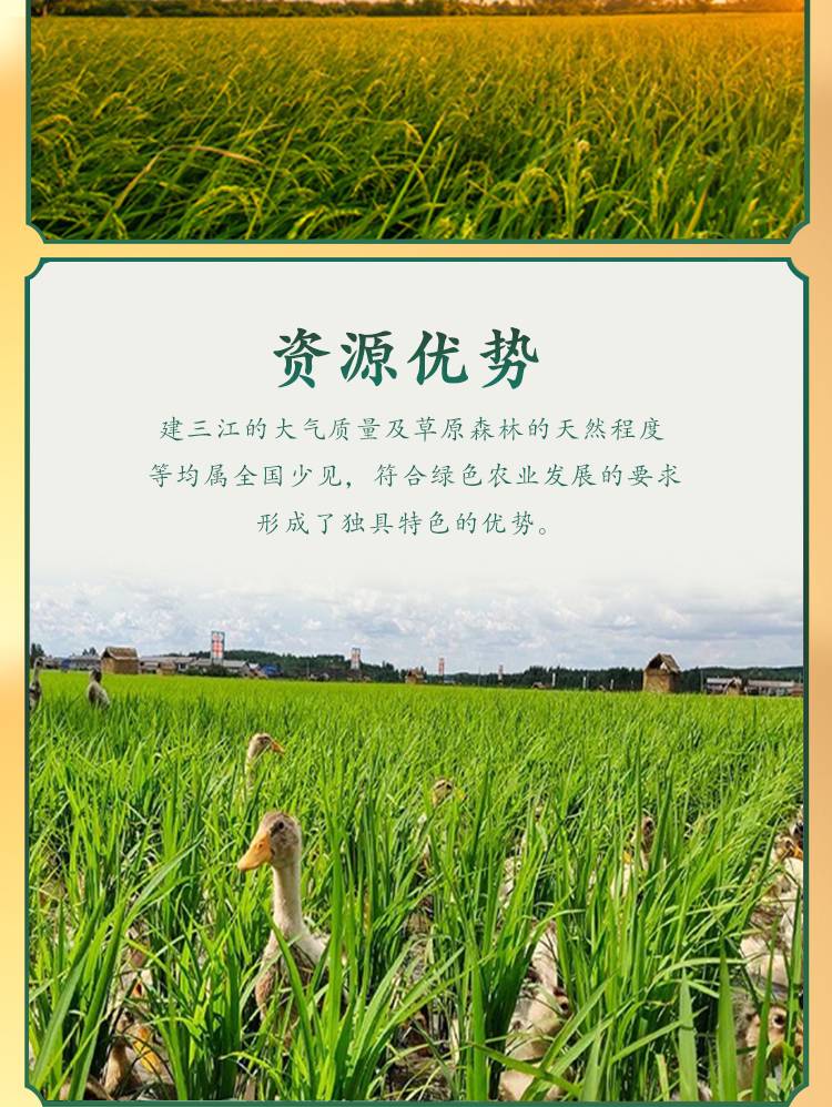 东北大米20斤2019年新米珍珠米20斤圆粒米黑龙江大米寿司米新大米