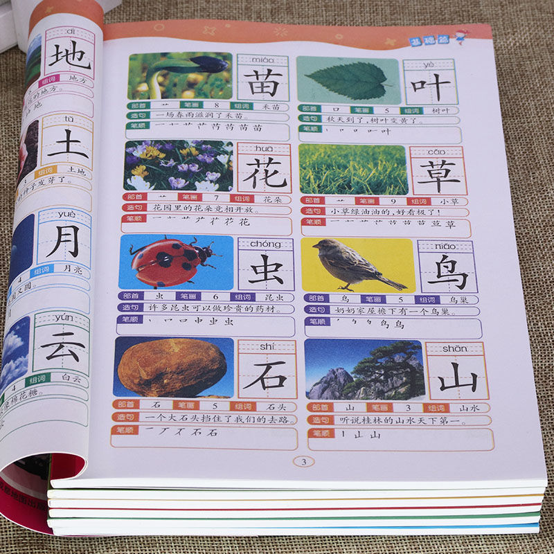 儿童识字大王幼儿园看图识字书3-6岁学前班彩图注音认字早教图书