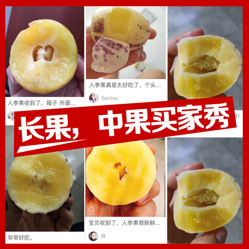 【现货特惠】应季果新鲜水果云南5斤(单果30-300g)