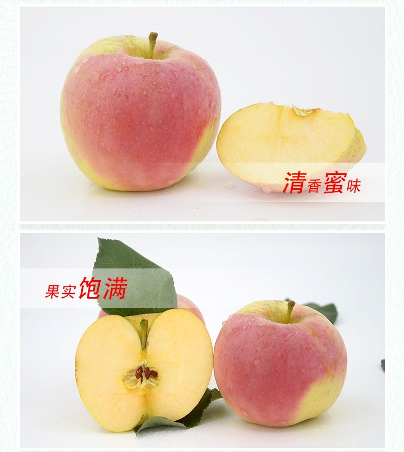 【5斤特惠】山西红富士苹果现摘现发水果当季新鲜脆甜孕妇吃的整箱包邮
