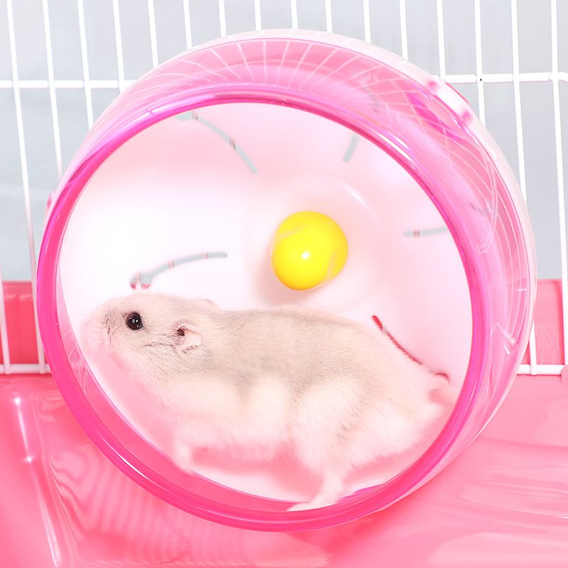 仓鼠玩具金丝熊龙猫用品静音透明跑球滚轮转轮运动减肥仓鼠跑轮