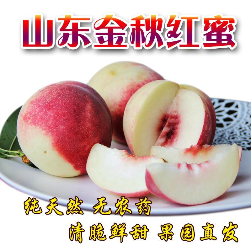 【现摘现发】金秋红蜜桃水蜜桃脆桃金秋红原生态桃子冬桃毛桃批发