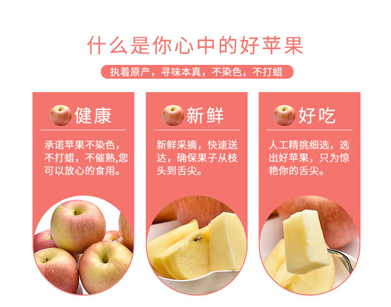 【5斤特惠】红富士脆甜冰糖心现摘现发新鲜苹果水果批发