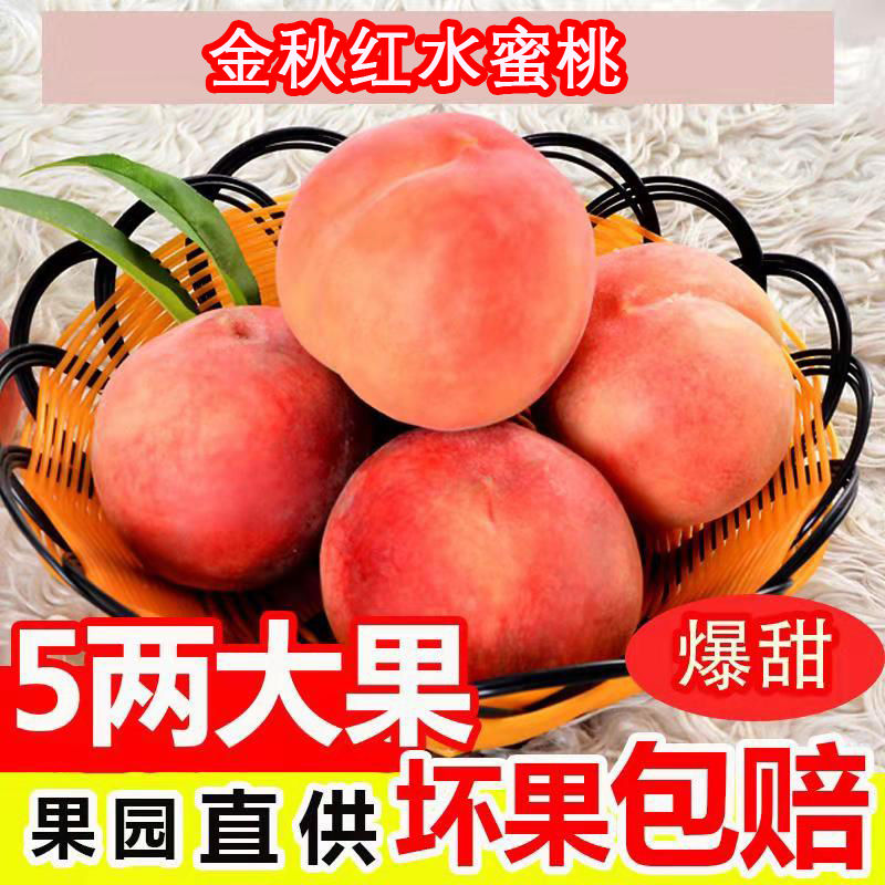 【现摘现发】金秋红蜜桃水蜜桃脆桃金秋红原生态桃子冬桃毛桃批发